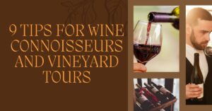 9 Tips for Wine Connoisseurs and Vineyard Tours