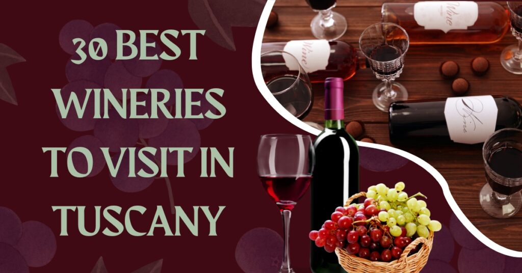 30 Best Wineries to Visit in Tuscany