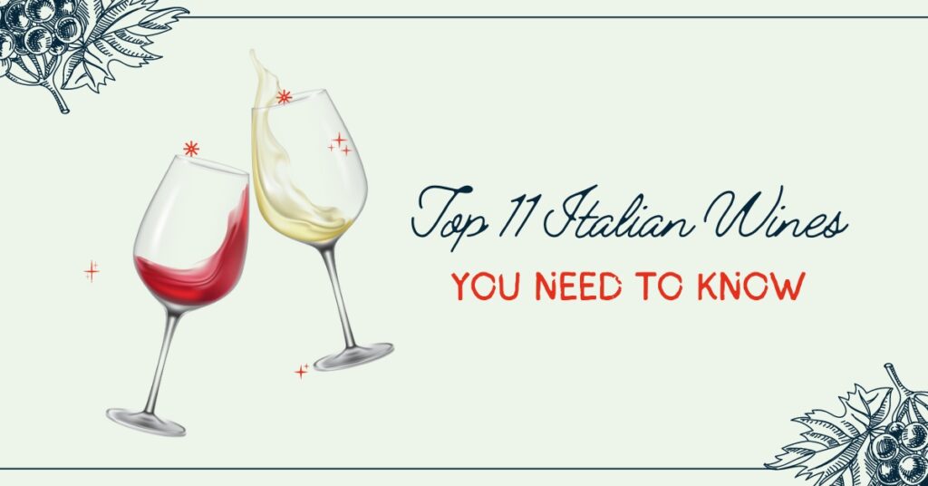 11 Top Italian Wines You Need To Know
